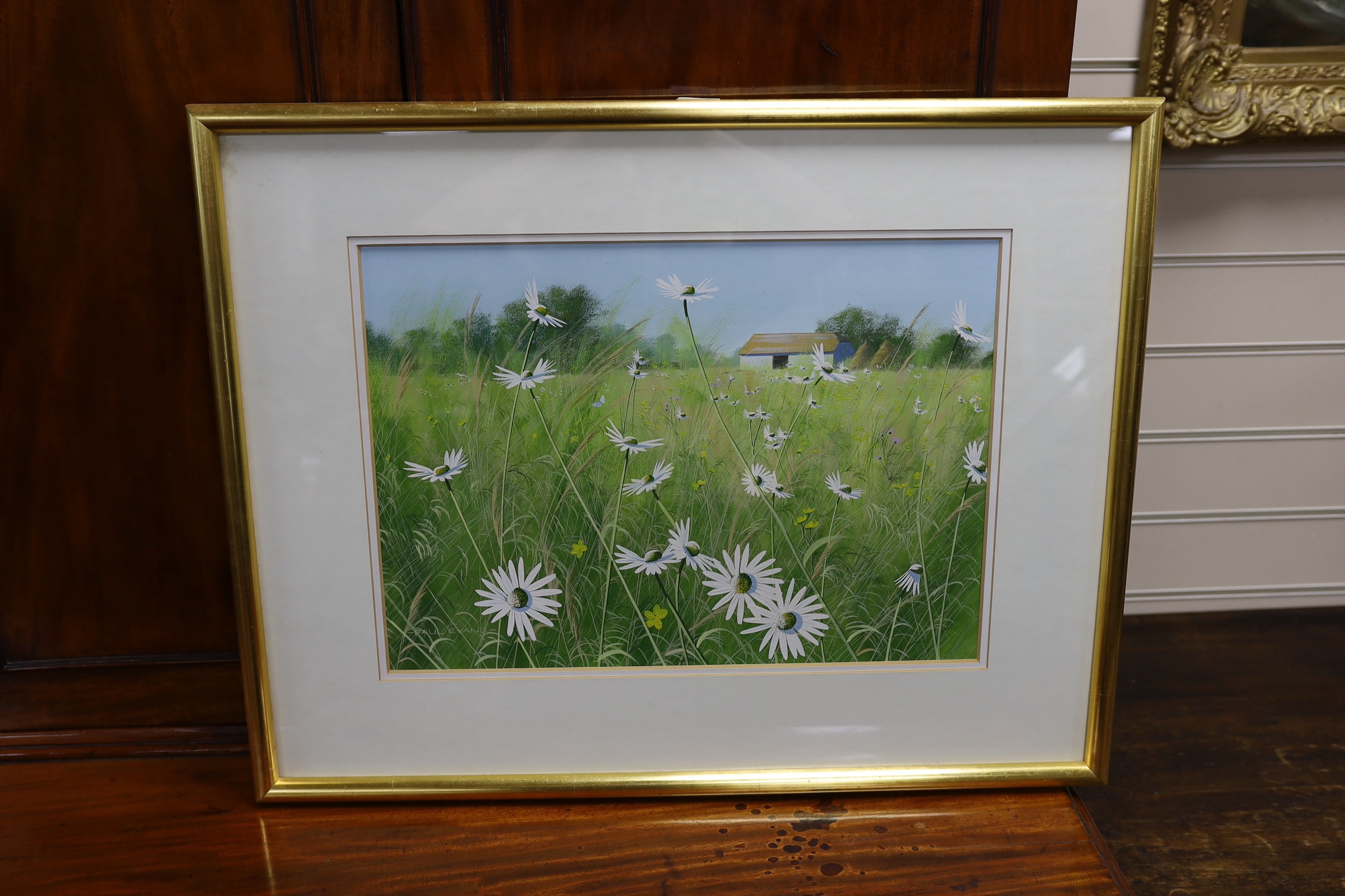 Paul Evans (1950-), gouache, 'Summer Meadow, Near Lewes', signed with artist receipt verso, 34 x 48cm